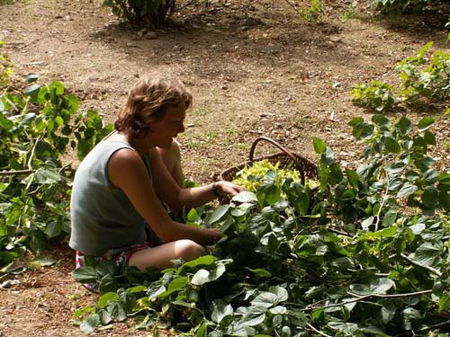 Anne-Marie-In-de-Moestuin