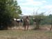 camping-vak2006_14