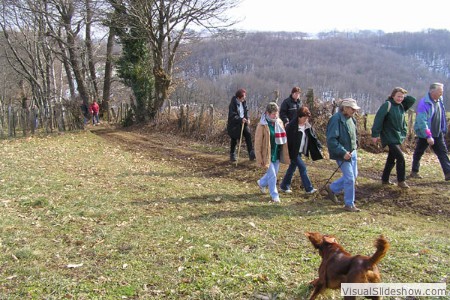 wandelclub